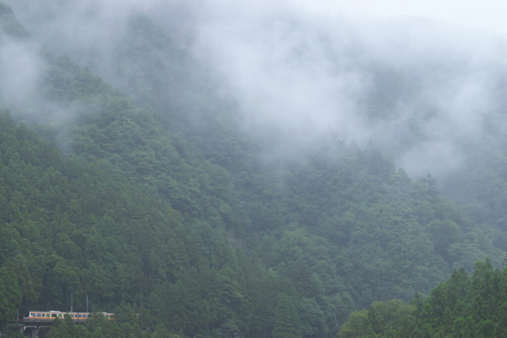 青梅線風景